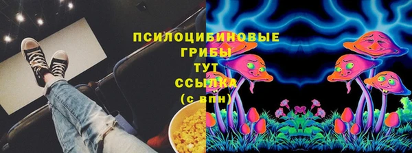 первитин Осинники