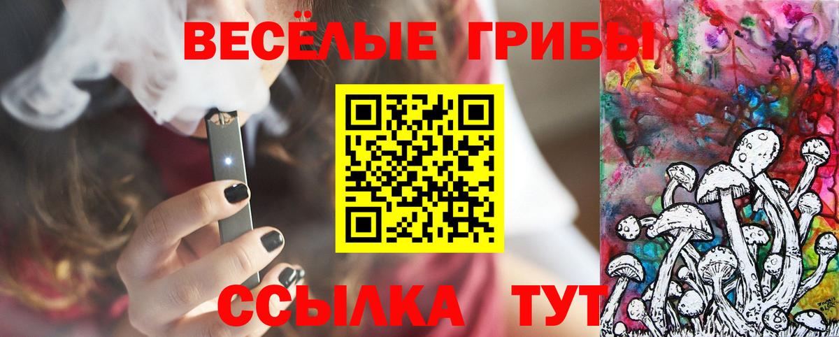 цена   Галлюциногенные грибы прущие грибы  Ижевск  Вход с VPN  Псилоцибиновые грибы Psilocybine cubensis 